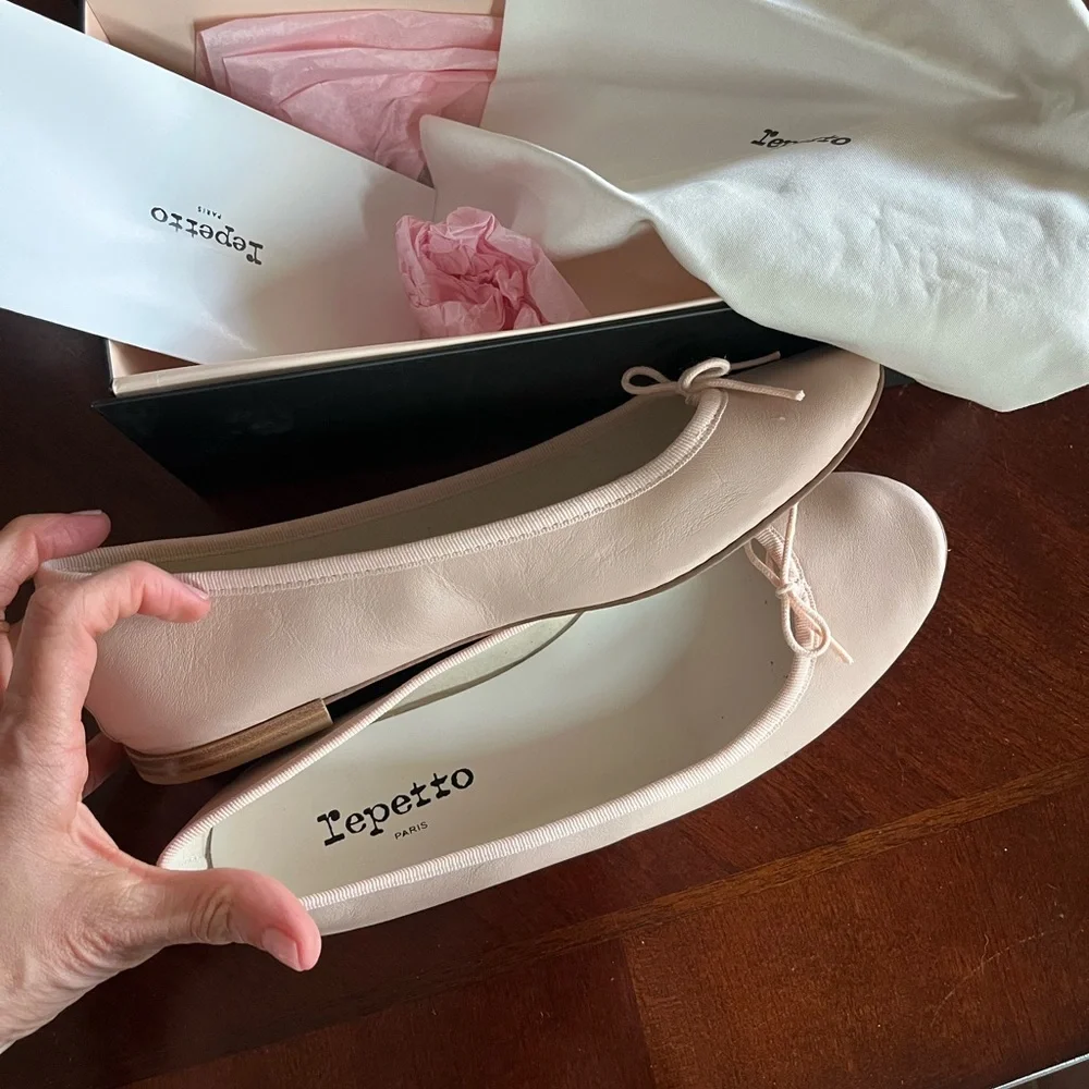 Repetto Nude Leather Ballet Flats - Picture 5 of 6